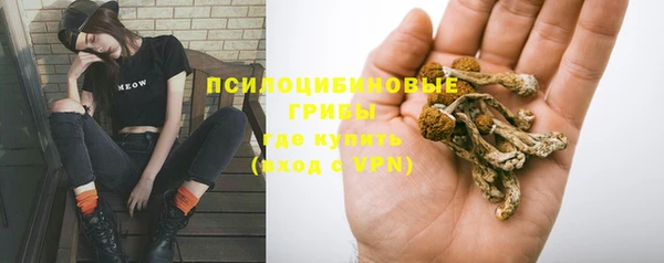 альфа пвп Алагир