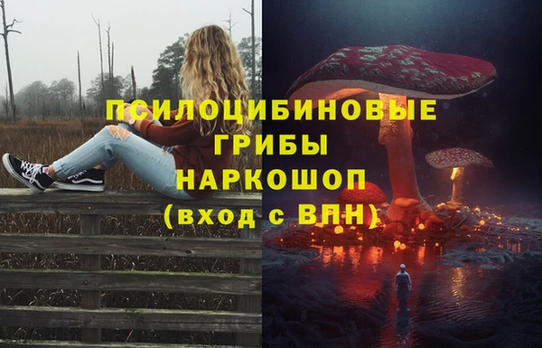 соль курить ск Михайловск