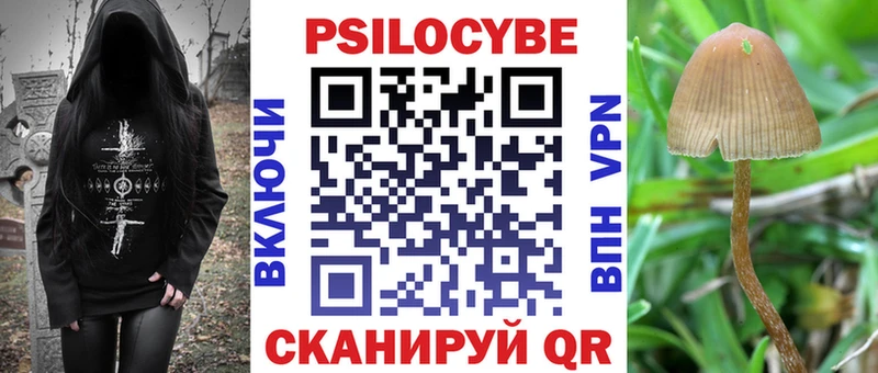 Псилоцибиновые грибы мухоморы  хочу наркоту  Таганрог 