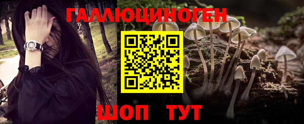 Галлюциногенные грибы мицелий Таганрог